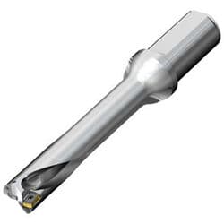 Sandvik DS20